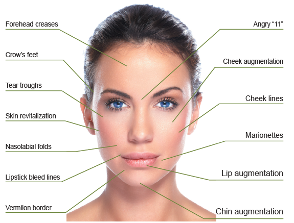 Beautiful Skin with Filler Treatments A to Z – Enhanced Image Center ...